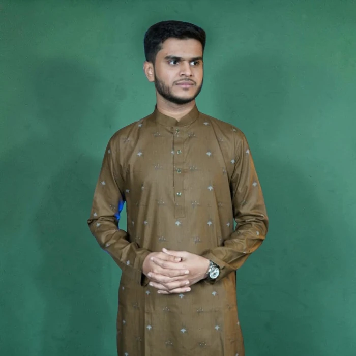 Elegant Printed panjabi